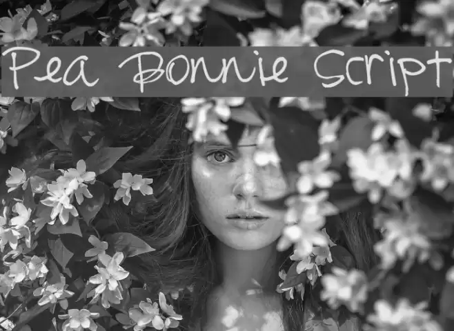 Pea Bonnie Script Font examples