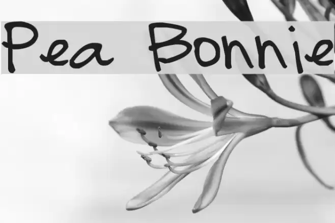 Pea Bonnie Font examples