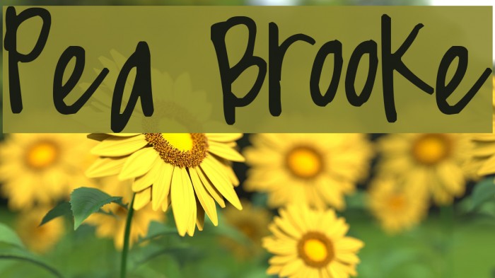 Pea Brooke Font examples