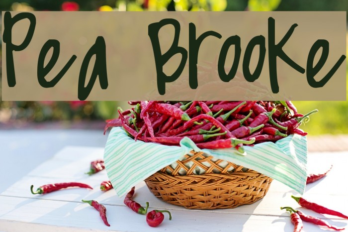 Pea Brooke Font examples