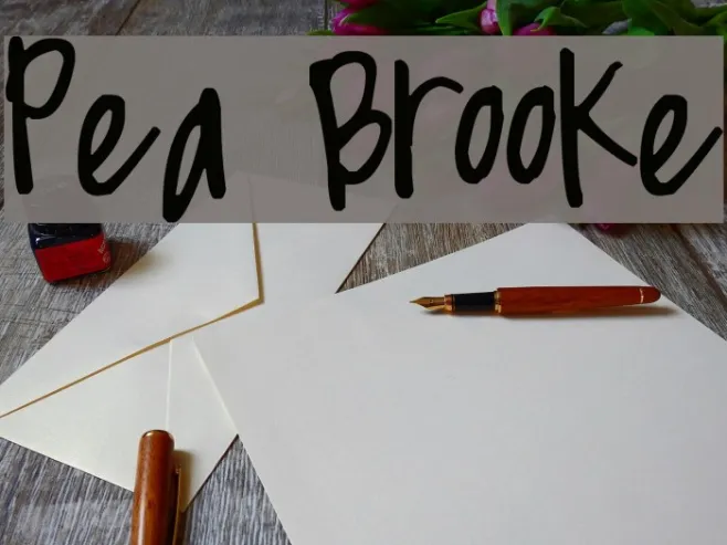 Pea Brooke Example 3