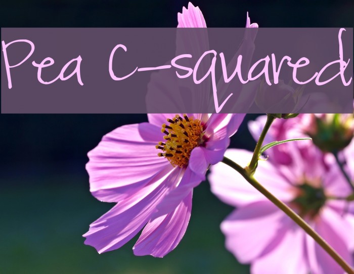 Pea C-squared Fonte examples