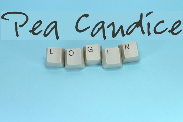 Pea Candice Font examples