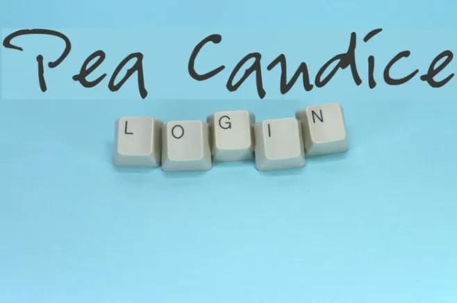 Pea Candice Example 1