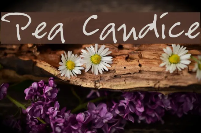 Pea Candice Example 2