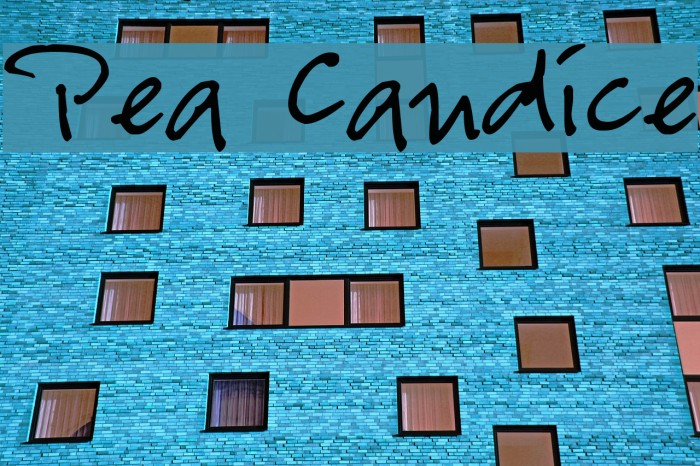 Pea Candice Font examples