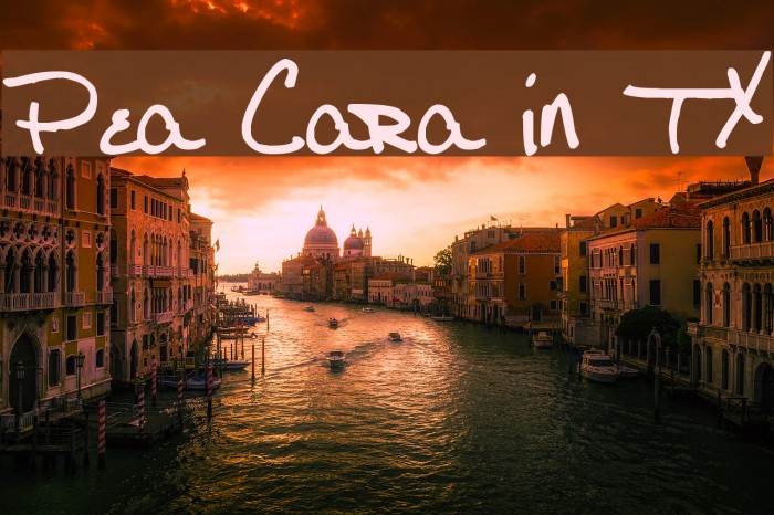 Pea Cara in TX Example 1