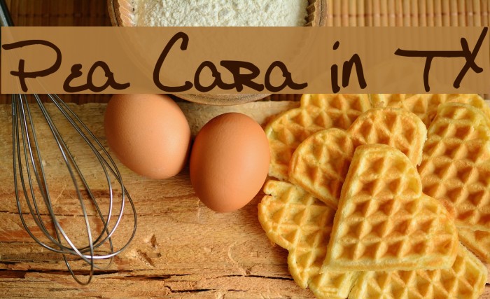 Pea Cara in TX Example 3