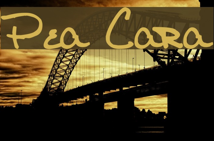 Pea Cara Font examples