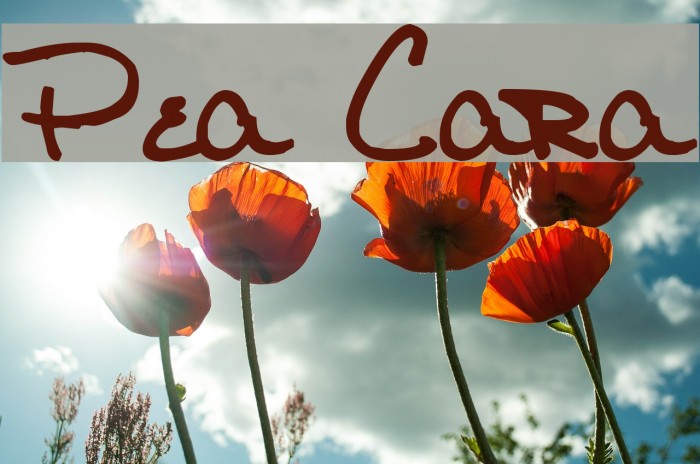 Pea Cara Font examples