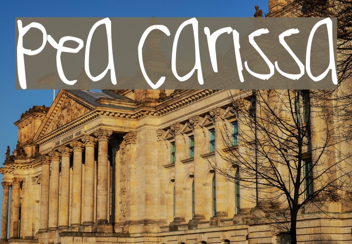 Pea Carissa Font examples