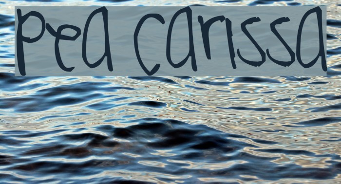 Pea Carissa Font examples