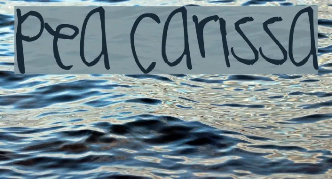 Pea Carissa Example 2