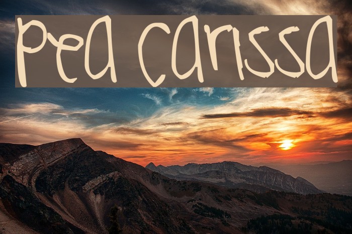 Pea Carissa Font examples