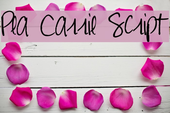 Pea Carrie Script フォント examples