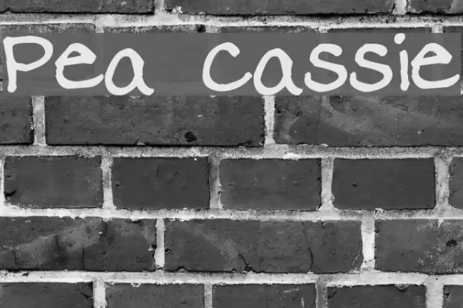 Pea Cassie Font examples