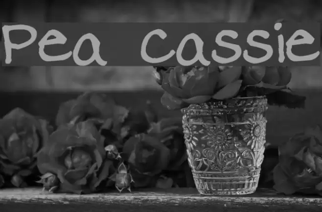 Pea Cassie Font examples