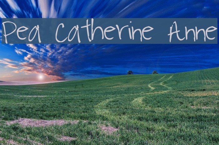 Pea Catherine Anne Font examples