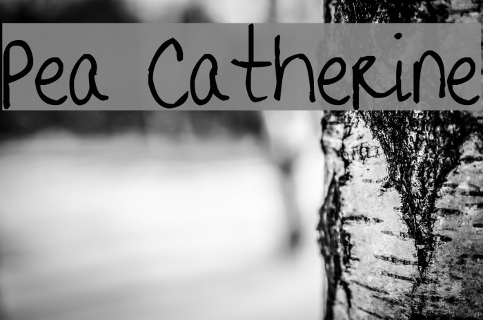 Pea Catherine Font examples