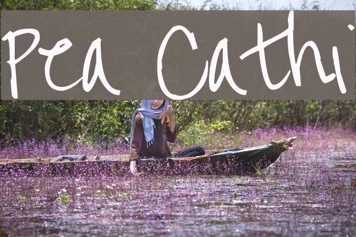 Pea Cathi フォント examples