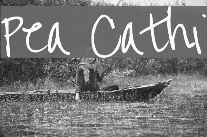 Pea Cathi Font examples