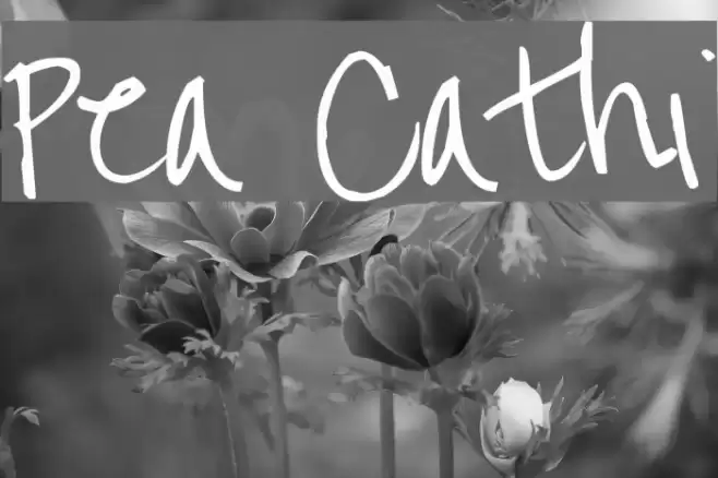Pea Cathi Font examples
