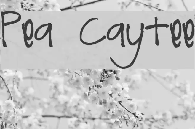 Pea Caytee Schriftart examples