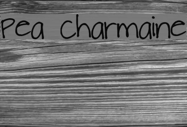 Pea Charmaine Font examples