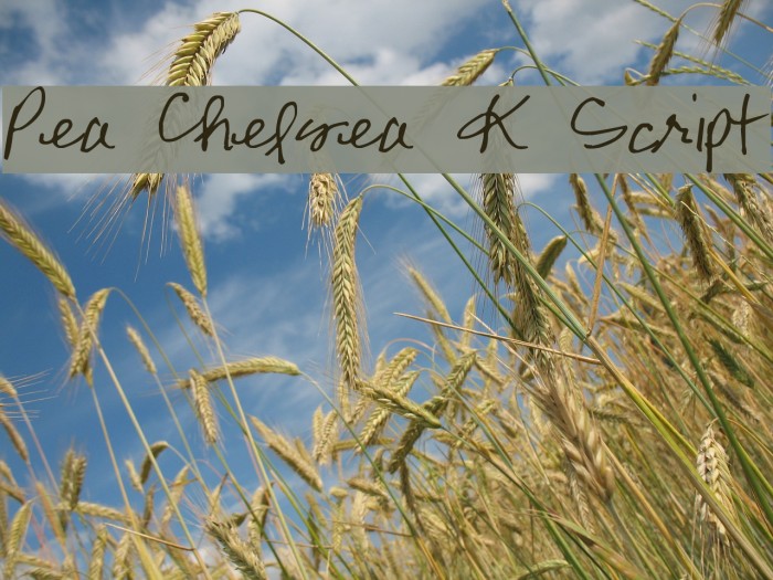Pea Chelsea K Script Font examples