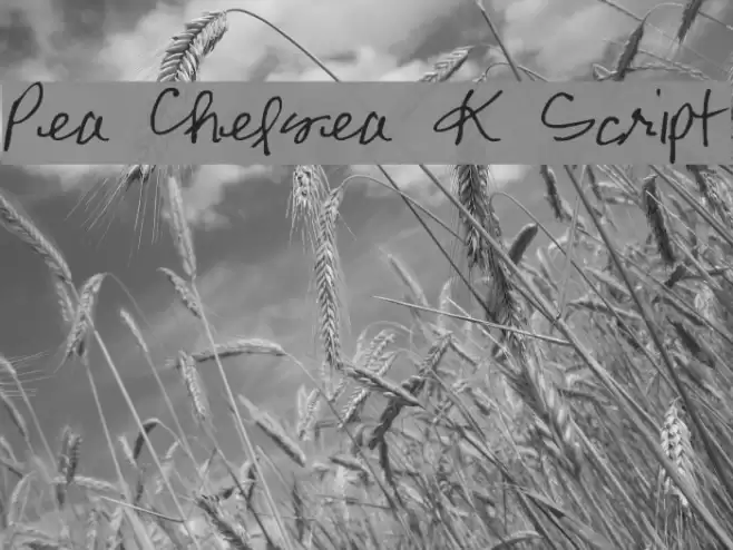 Pea Chelsea K Script Font examples