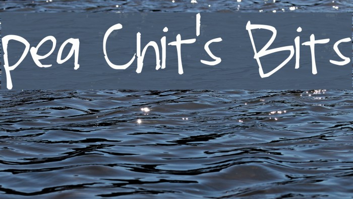 Pea Chit's Bits Font examples