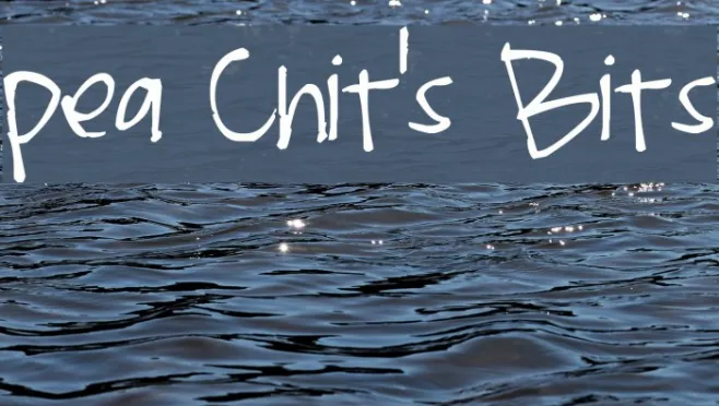 Pea Chit's Bits Example 1