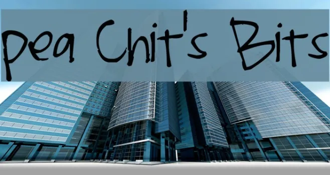 Pea Chit's Bits Example 3