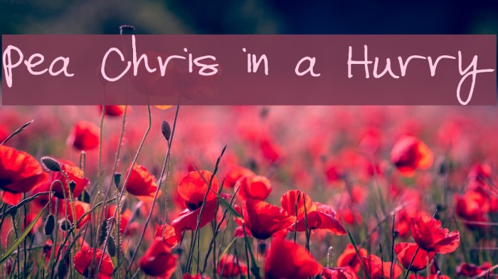 Pea Chris in a Hurry Font examples