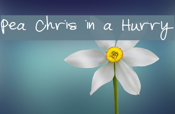 Pea Chris in a Hurry Font examples