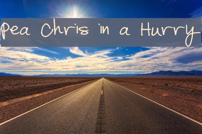 Pea Chris in a Hurry Font examples