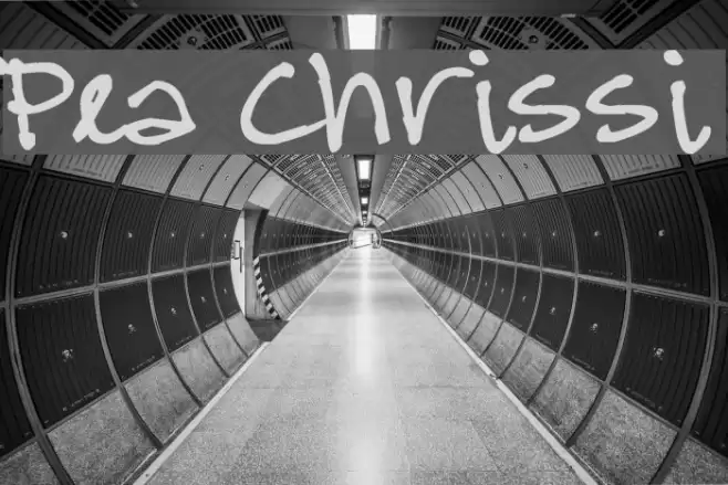 Pea Chrissi Font examples