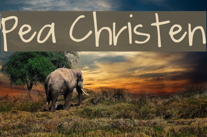 Pea Christen Font examples