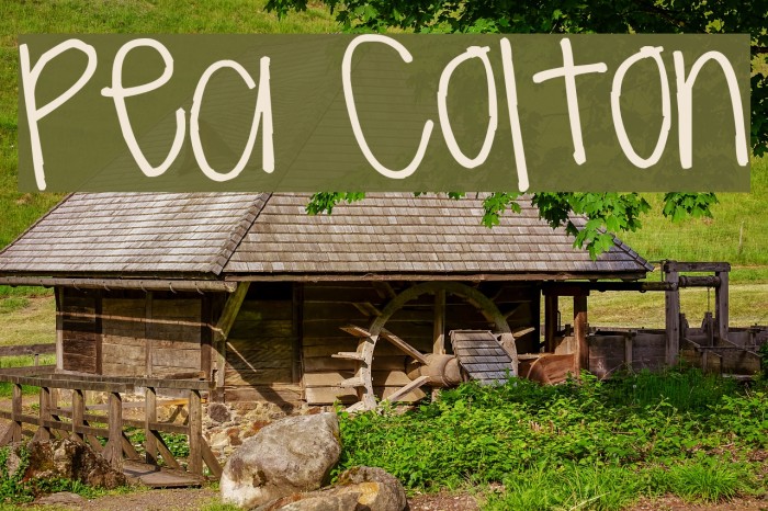 Pea Colton Example 1