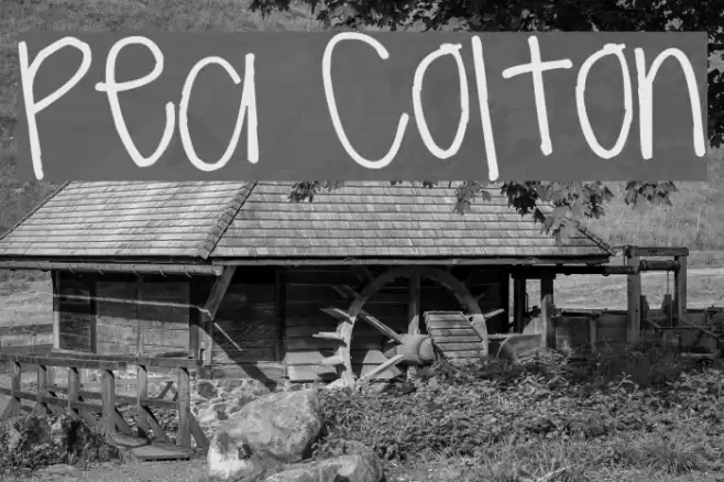 Pea Colton Font examples