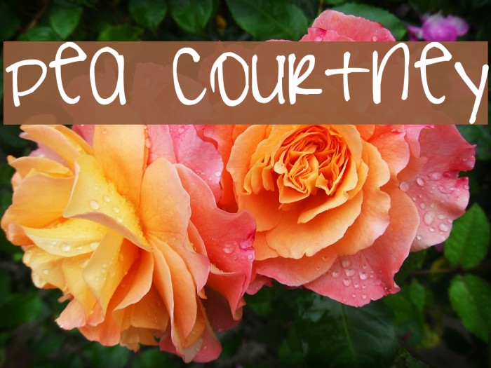Pea Courtney Font examples