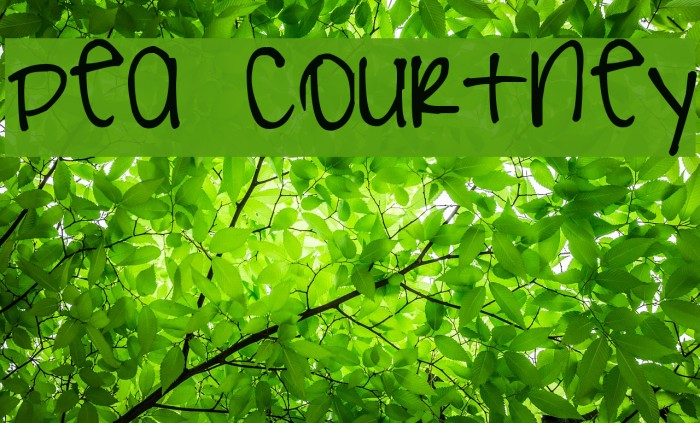 Pea Courtney Font examples