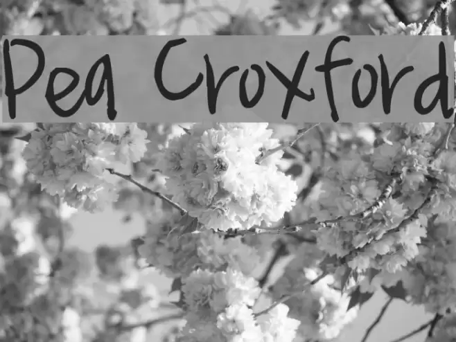 Pea Croxford Font examples