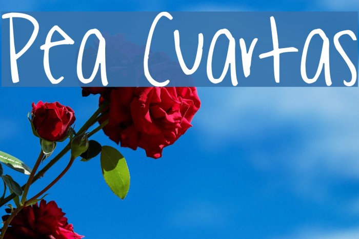Pea Cuartas Font examples