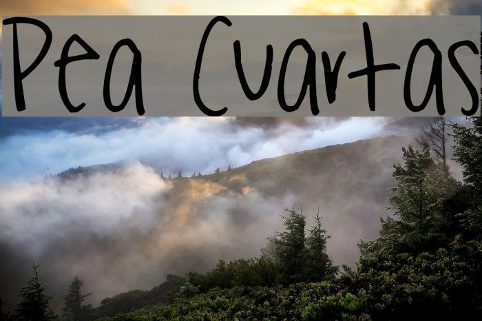 Pea Cuartas Font examples