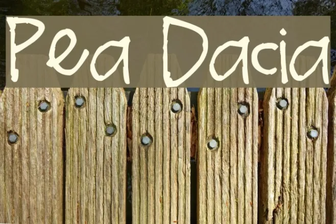 Pea Dacia Example 1
