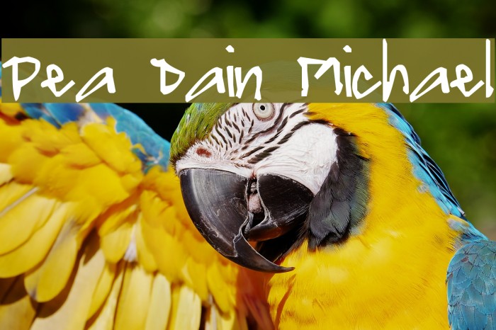 Pea Dain Michael Font examples