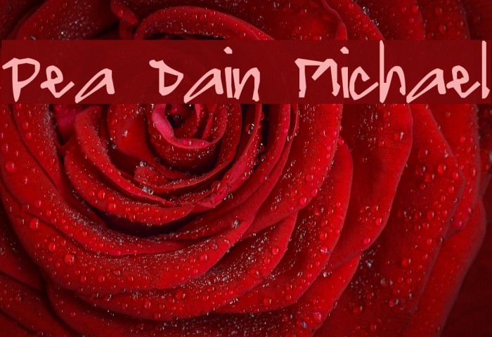 Pea Dain Michael Font examples