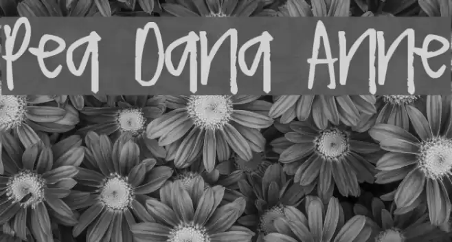 Pea Dana Anne Font examples