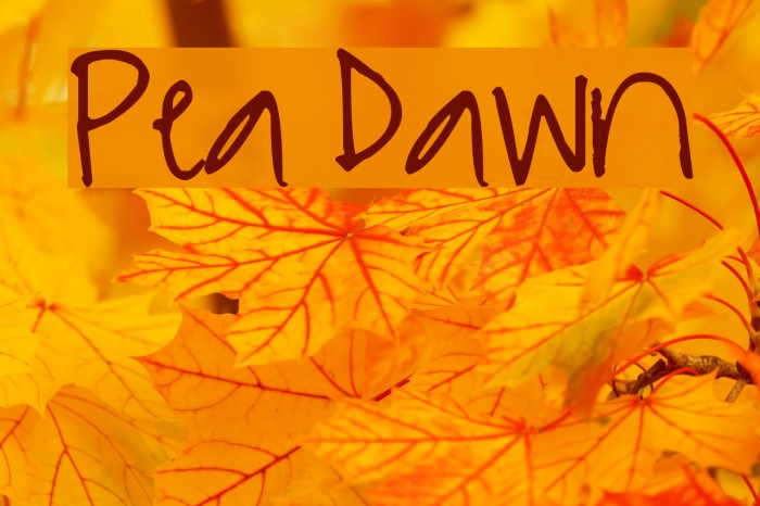 Pea Dawn Font examples